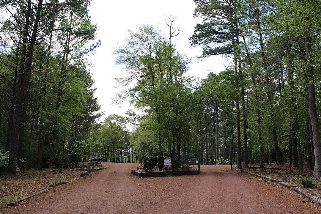 Eagle Point Park - Jasper, Alabama